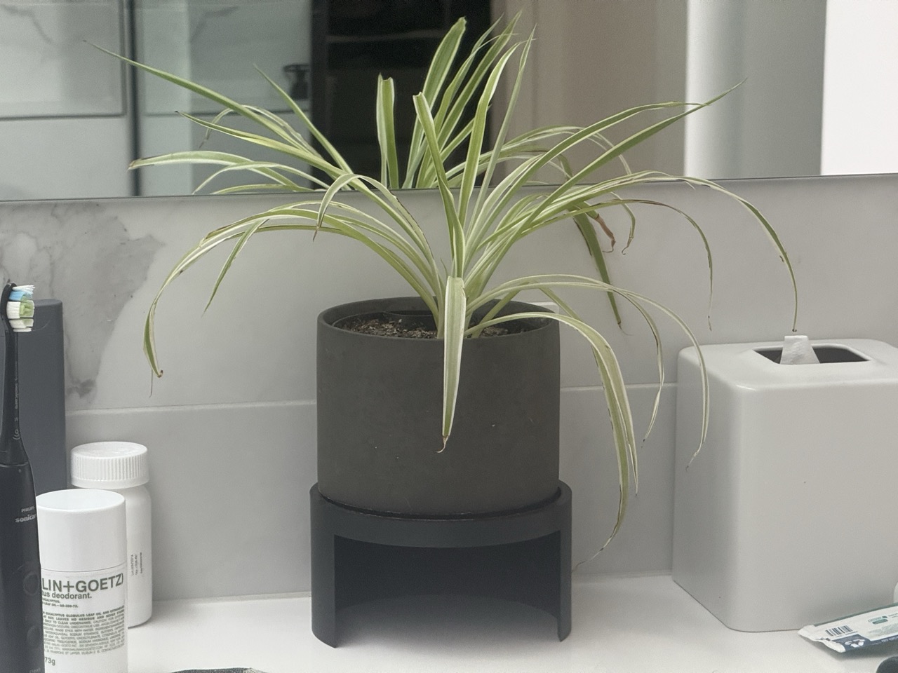 Flower Pot Raiser / Storage